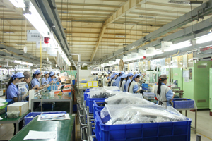 Sau Tết gần 100% công nhân Công ty TNHH Sankoh Việt Nam tại KCN bờ trái Sông Đà đã trở lại làm việc bình thường.